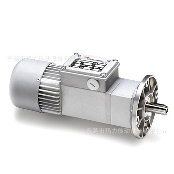 MINIMOTOR減速電機 意大利MINIMOTOR
